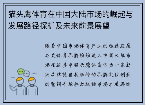 猫头鹰体育在中国大陆市场的崛起与发展路径探析及未来前景展望